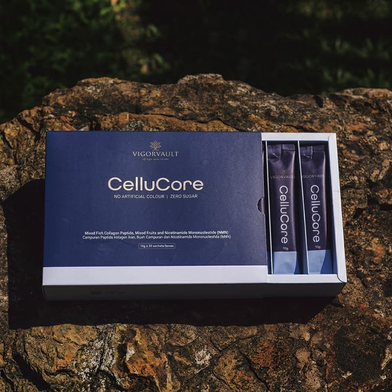 cellucore-collagen supplement